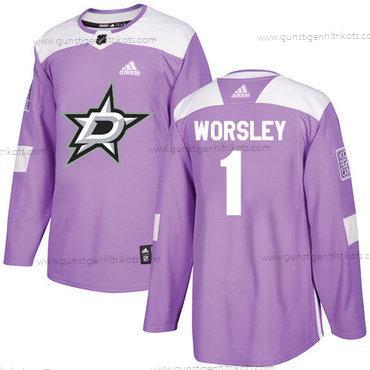 Adidas Herren Dallas Stars #1 Gump Worsley Authentisch Bekämpft Krebs Strickerei NHL Trikots – Lila