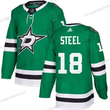 Herren Dallas Stars #18 Sam Steel Strickerei Trikots – Grün