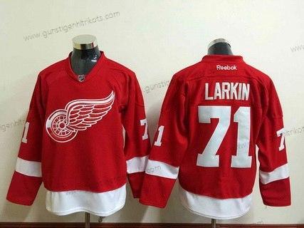 Herren Detroit Red Wings #71 Dylan Larkin Reebok Heimtrikots Premier Trikots – Rot