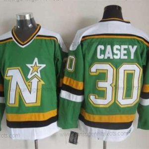 Herren Minnesota North Dallas Stars #30 Jon Casey 1988-89 CCM Vintage Trikots – Grün