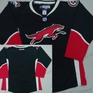 Herren Phoenix Coyotes Leer Ausweichtrikot Trikots – Schwarz