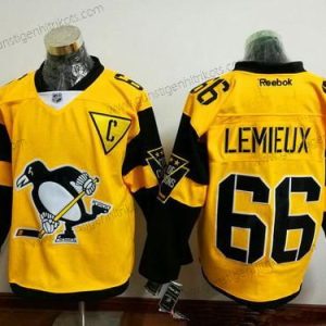 Herren Pittsburgh Penguins #66 Mario Lemieux 2017 Stadium Series Strickerei NHL Reebok Hockey Trikots – Gelb