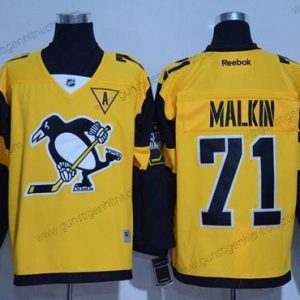 Herren Pittsburgh Penguins #71 Evgeni Malkin 2017 Stadium Series Strickerei NHL Trikots – Gold