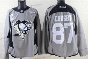 Herren Pittsburgh Penguins #87 Sidney Crosby 2014 Training Trikots – Grau