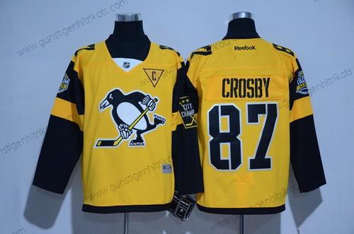 Herren Pittsburgh Penguins #87 Sidney Crosby 2017 Stadium Series Strickerei NHL Reebok Hockey Trikots – Gelb