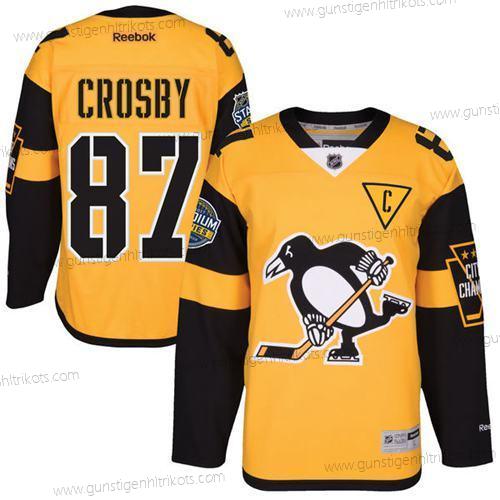 Herren Pittsburgh Penguins #87 Sidney Crosby 2017 Stadium Series Strickerei NHL Trikots – Schwarz