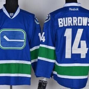 Herren Vancouver Canucks #14 Alexandre Burrows Ausweichtrikot Trikots – Blau