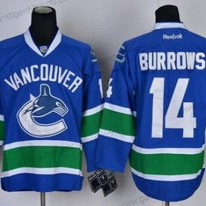 Herren Vancouver Canucks #14 Alexandre Burrows Trikots – Blau