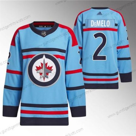 Herren Winnipeg Jets #2 Dylan Demelo Jahrestag Primegreen Strickerei Trikots – Blau