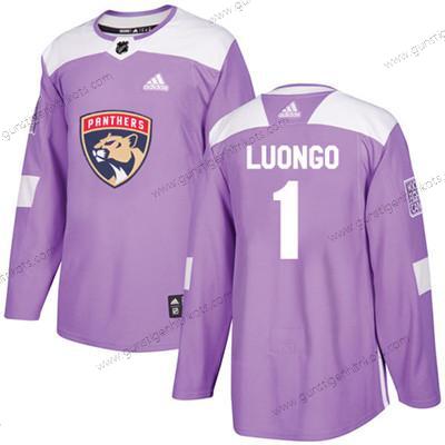 Jugend Florida Panthers #1 Roberto Luongo Authentisch Bekämpft Krebs Strickerei NHL Trikots – Lila