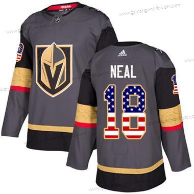 Jugend Vegas Golden Knights #18 James Neal Heimtrikots Authentisch USA Flag Strickerei NHL Trikots – Grau